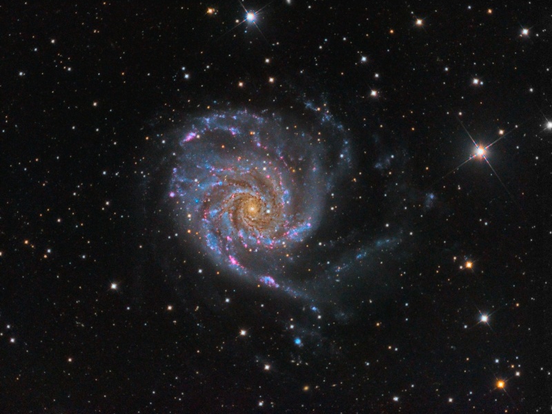 Galaxy
