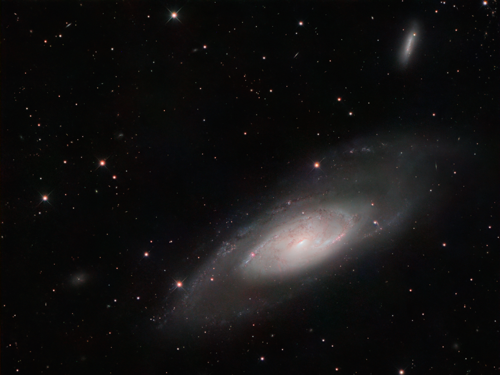 Galaxy M106 at high resolution